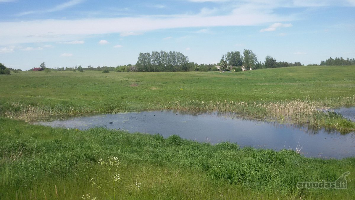 Parduodamas 2,1159 ha žemės ūkio paskirties - nuotraukos Nr. 2