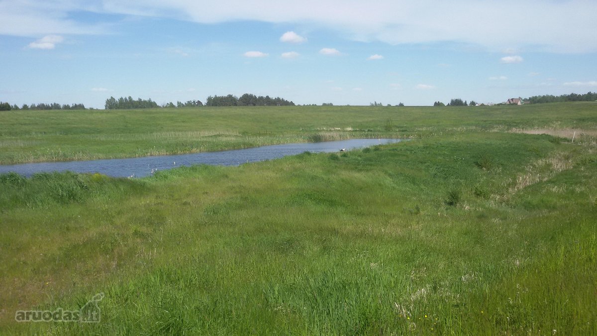 Parduodamas 2,1159 ha žemės ūkio paskirties - nuotraukos Nr. 3