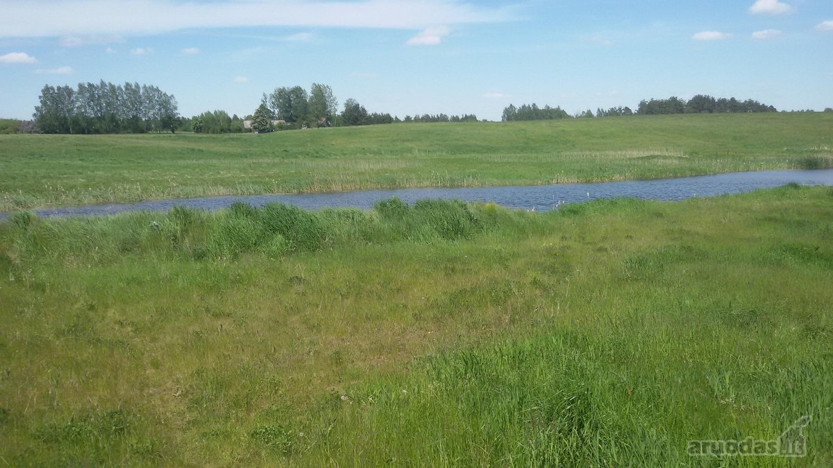 Parduodamas 2,1159 ha žemės ūkio paskirties - nuotraukos Nr. 4
