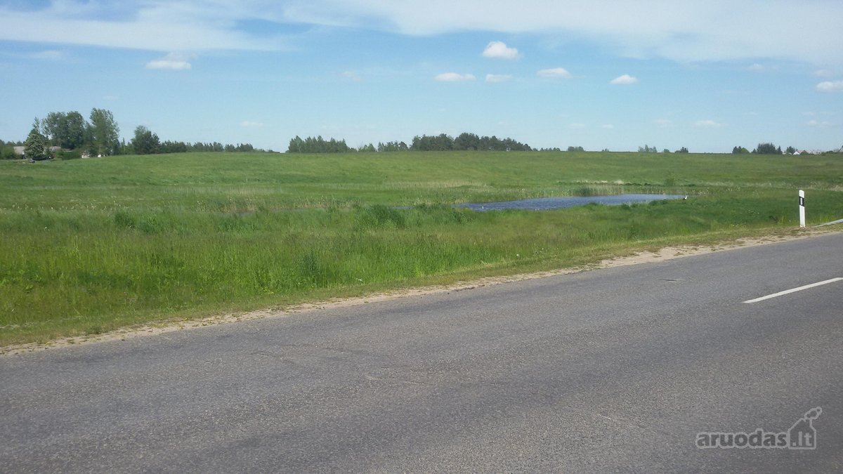 Parduodamas 2,1159 ha žemės ūkio paskirties - nuotraukos Nr. 5