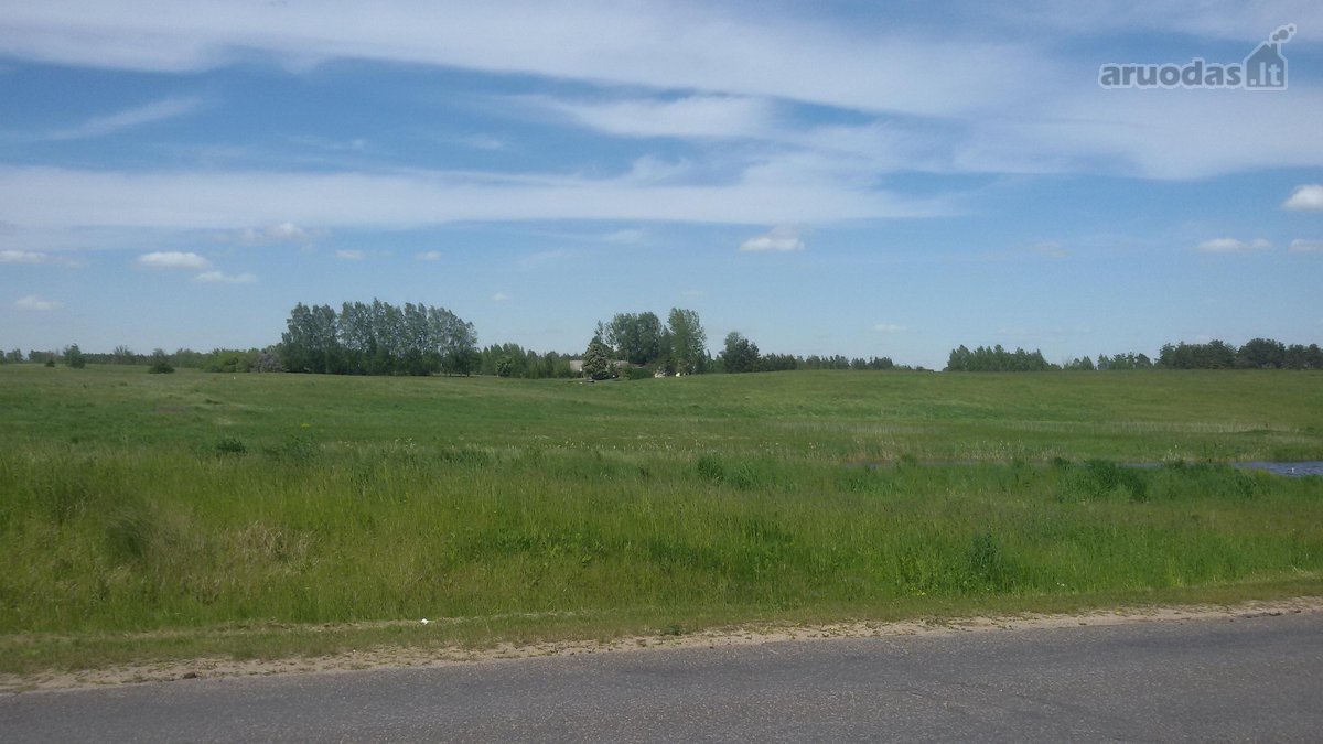Parduodamas 2,1159 ha žemės ūkio paskirties - nuotraukos Nr. 6