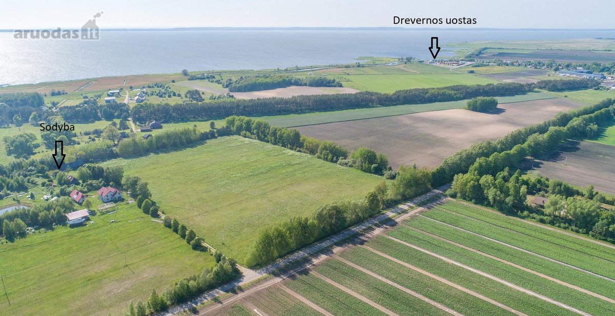 Parduodama erdvi sodyba Svencelėje. Sodybos - nuotraukos Nr. 2