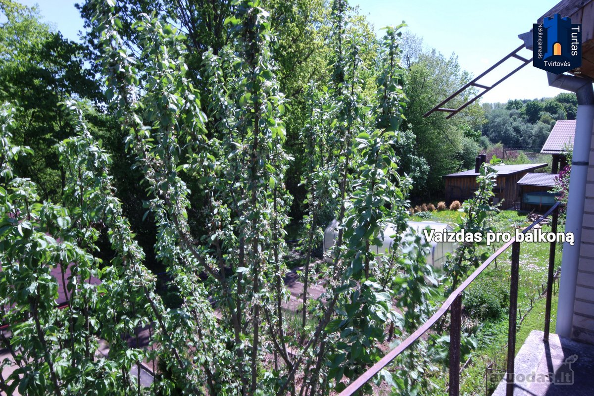 Aluonos hidrografinis draustinis – - nuotraukos Nr. 15