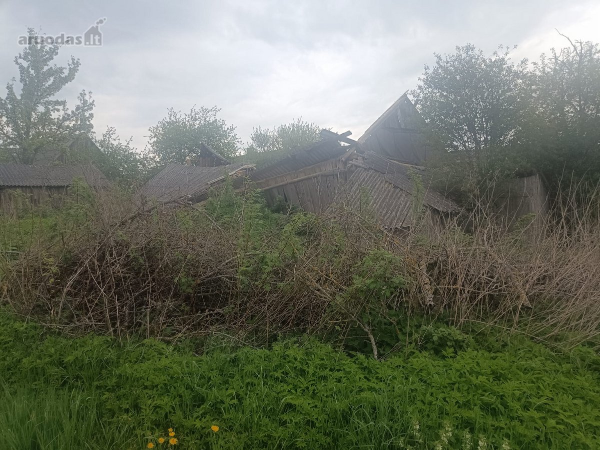 Molėtų raj., Balnininkų sen., Dapkūniškių - nuotraukos Nr. 9