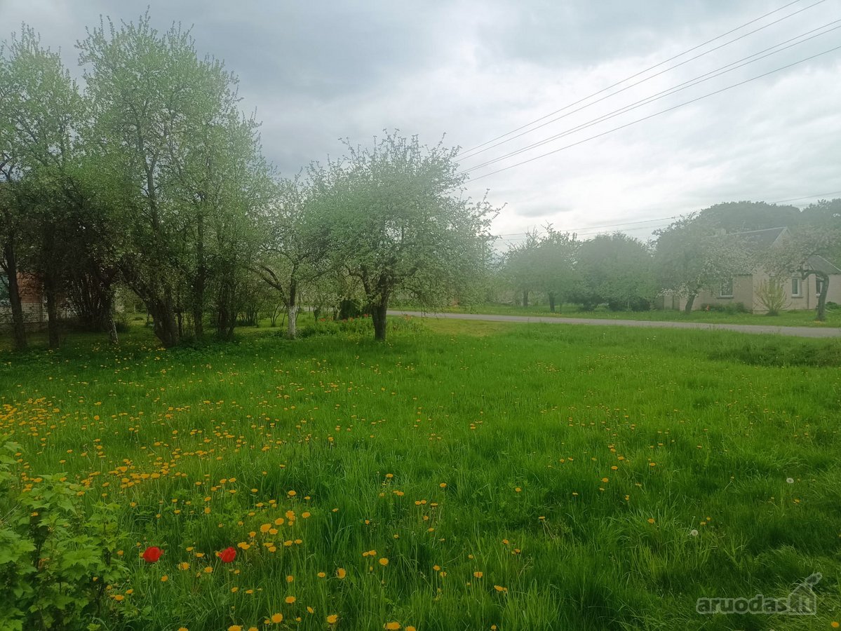 Molėtų raj., Balnininkų sen., Dapkūniškių - nuotraukos Nr. 10