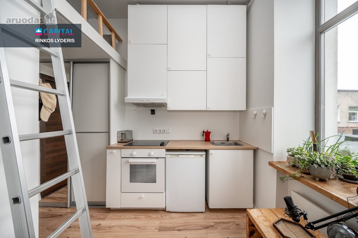 Jaukus Ir Išskirtinai Funkcionalus Loftas - nuotraukos Nr. 9