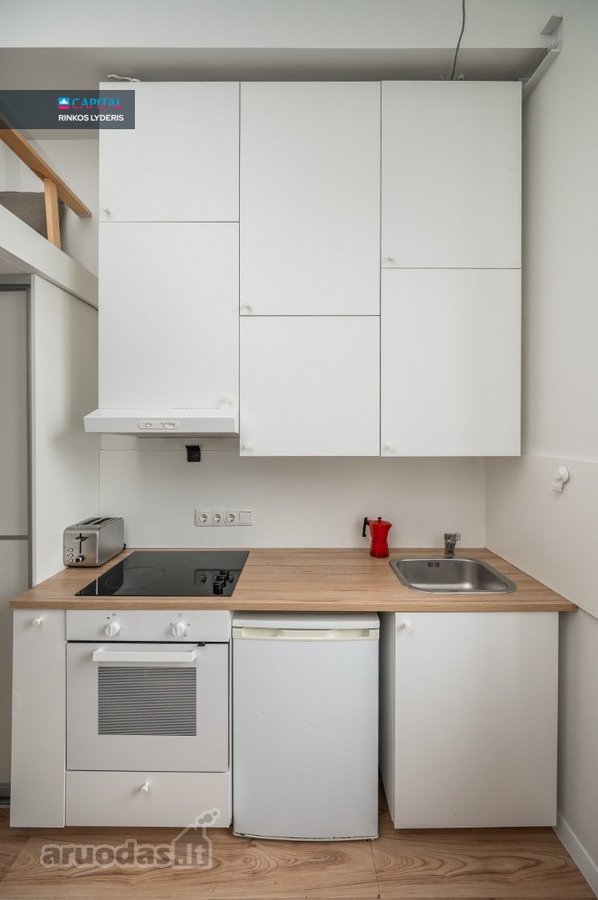 Jaukus Ir Išskirtinai Funkcionalus Loftas - nuotraukos Nr. 10