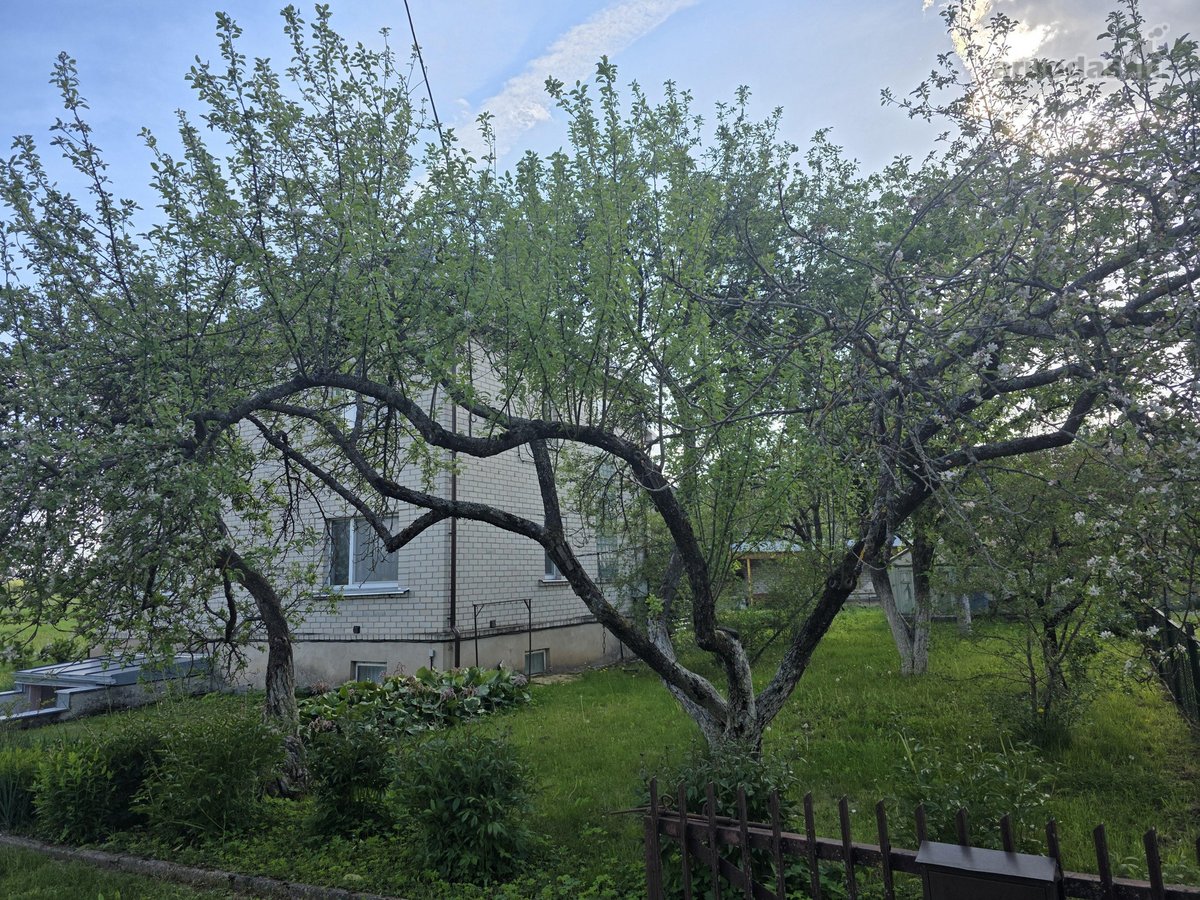 Erdvus Namas Gamtos Apsuptyje Su 39 A Sklypu, - nuotraukos Nr. 10