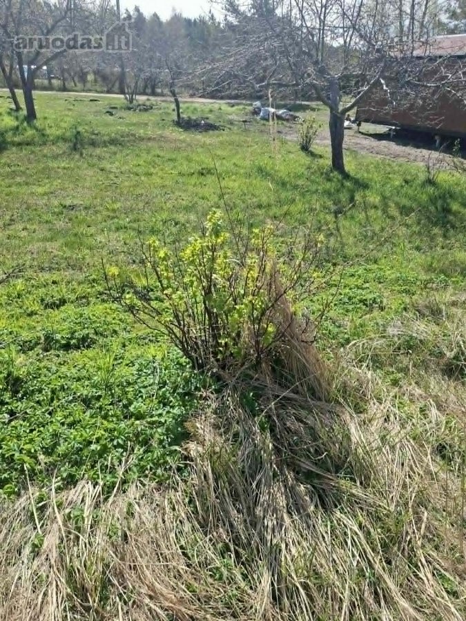 Parduodamas sodo sklypas Palangoje, - nuotraukos Nr. 7
