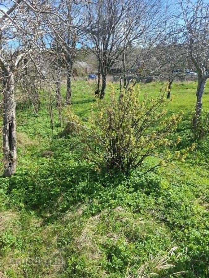 Parduodamas sodo sklypas Palangoje, - nuotraukos Nr. 10