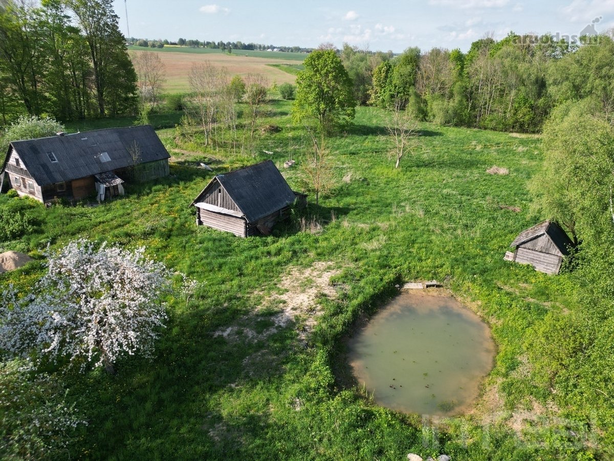 Parduodama sodyba su dideliu sklypu, mišku ir - nuotraukos Nr. 3