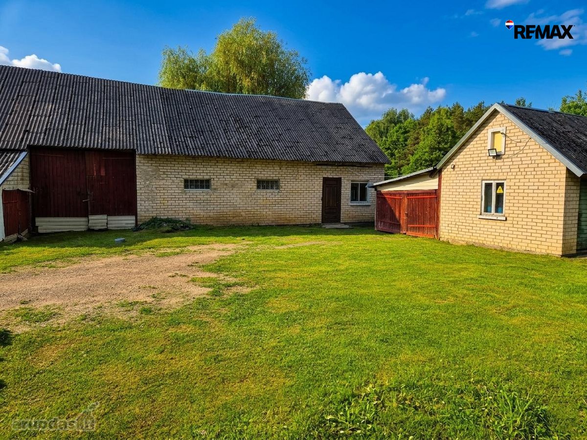 Parduodama tvarkinga sodyba ramioje ir - nuotraukos Nr. 5