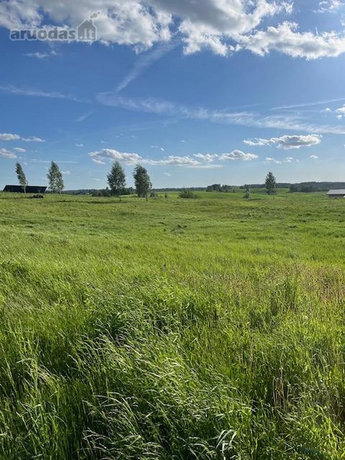 Parduodamas erdvus, taisyklingos formos 1,023 - nuotraukos Nr. 6
