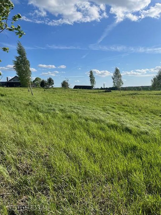 Parduodamas erdvus, taisyklingos formos 1,023 - nuotraukos Nr. 8