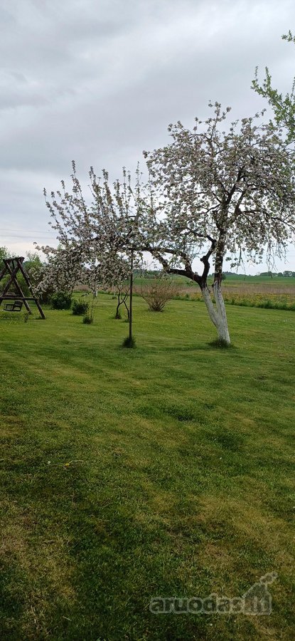 Širvintų r. sav., Anciūnų k.