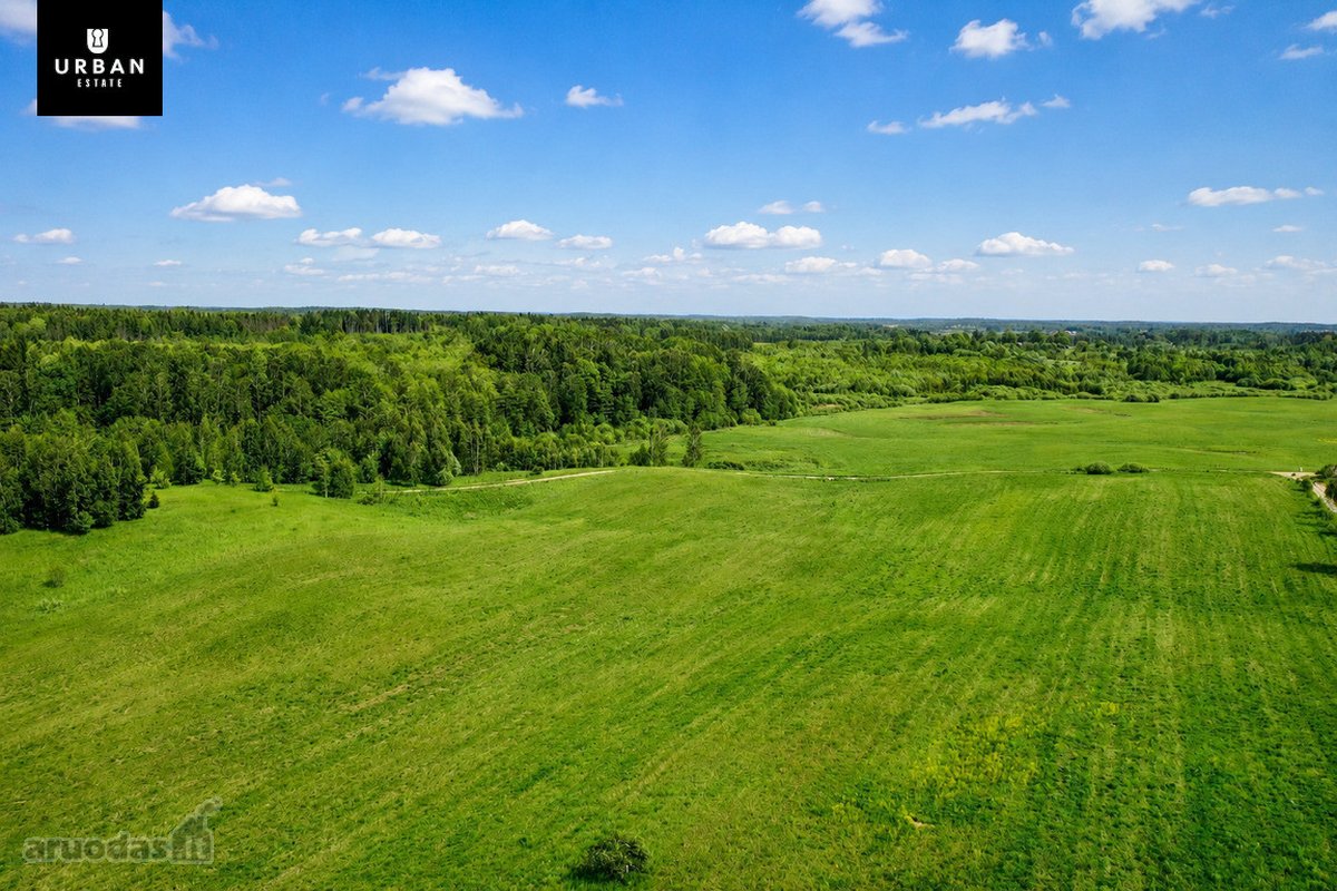 Parduodami Žemės Ūkio Sklypai Daučionių K. - nuotraukos Nr. 6