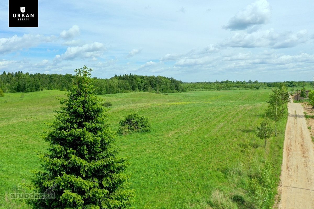 Parduodami Žemės Ūkio Sklypai Daučionių K. - nuotraukos Nr. 10