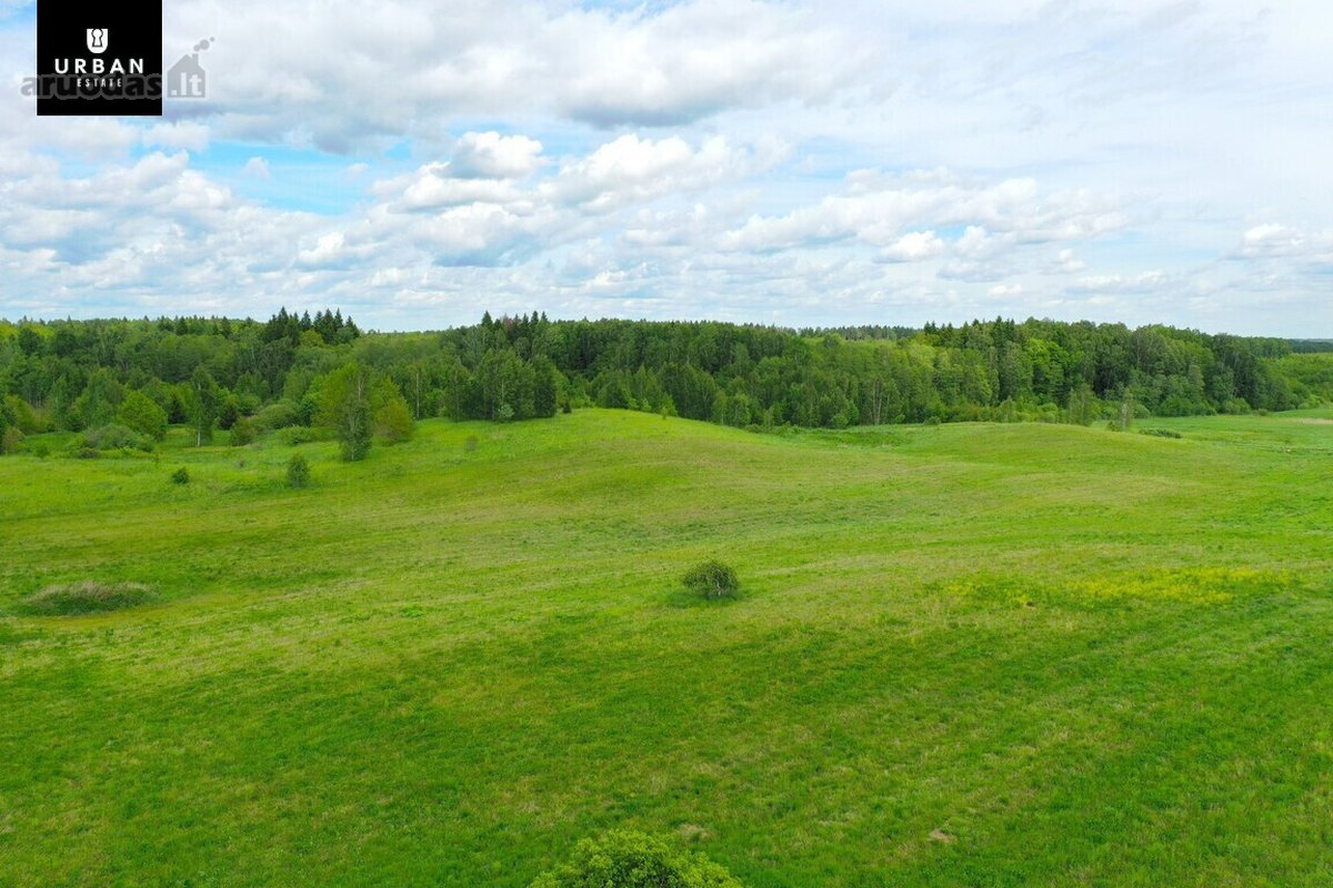 Parduodami Žemės Ūkio Sklypai Daučionių K. - nuotraukos Nr. 11