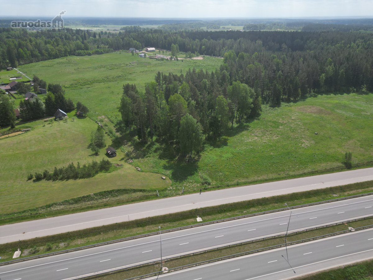 4,57 ha sklypas su 2 ha brandžiu mišku –