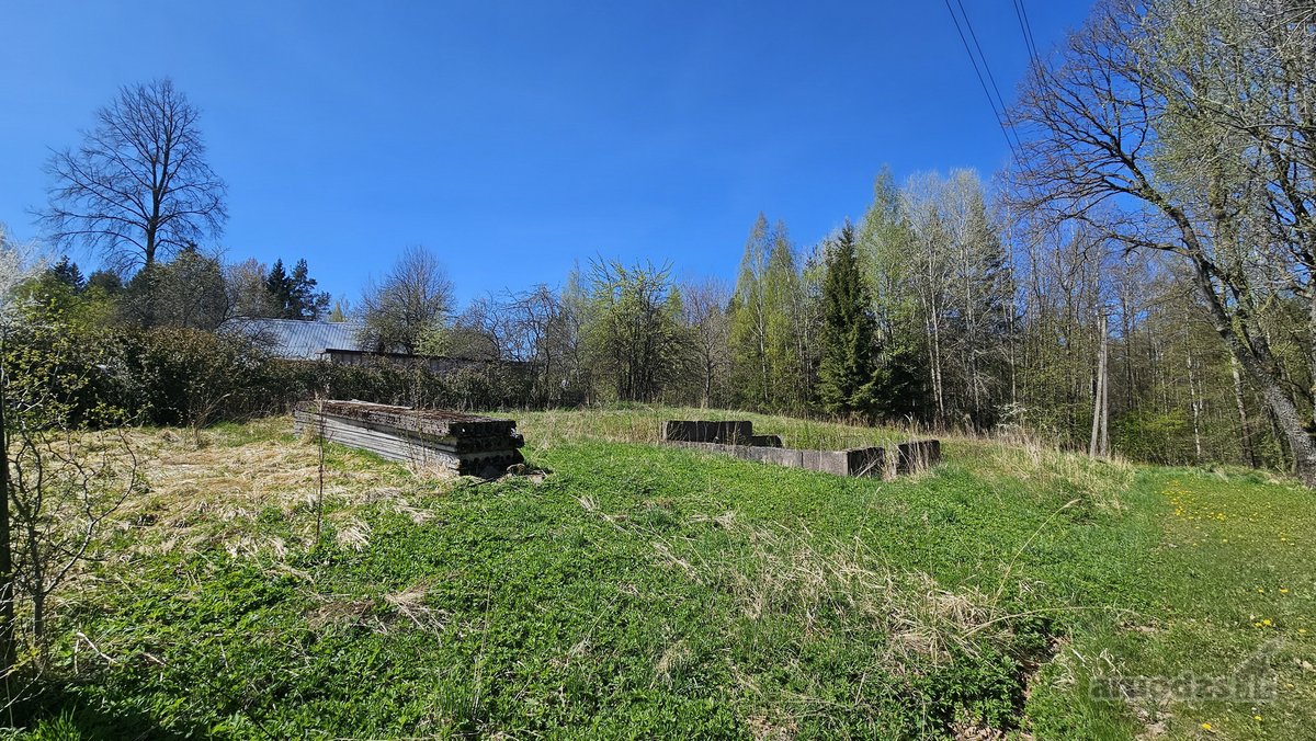 Parduodami du besiribojantys sklypai sodų - nuotraukos Nr. 16