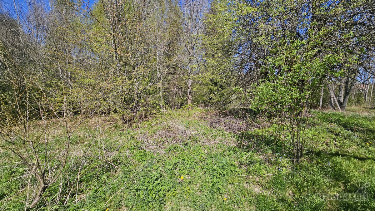 Parduodami du besiribojantys sklypai sodų - nuotraukos Nr. 23