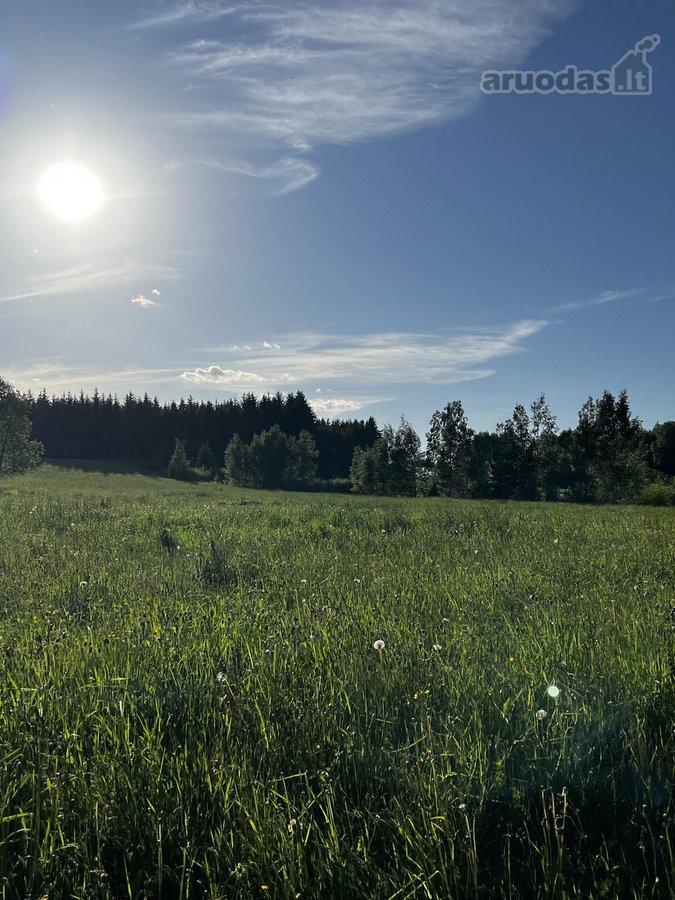 Ramioje Musės upės kilpoje, nedideliame - nuotraukos Nr. 8