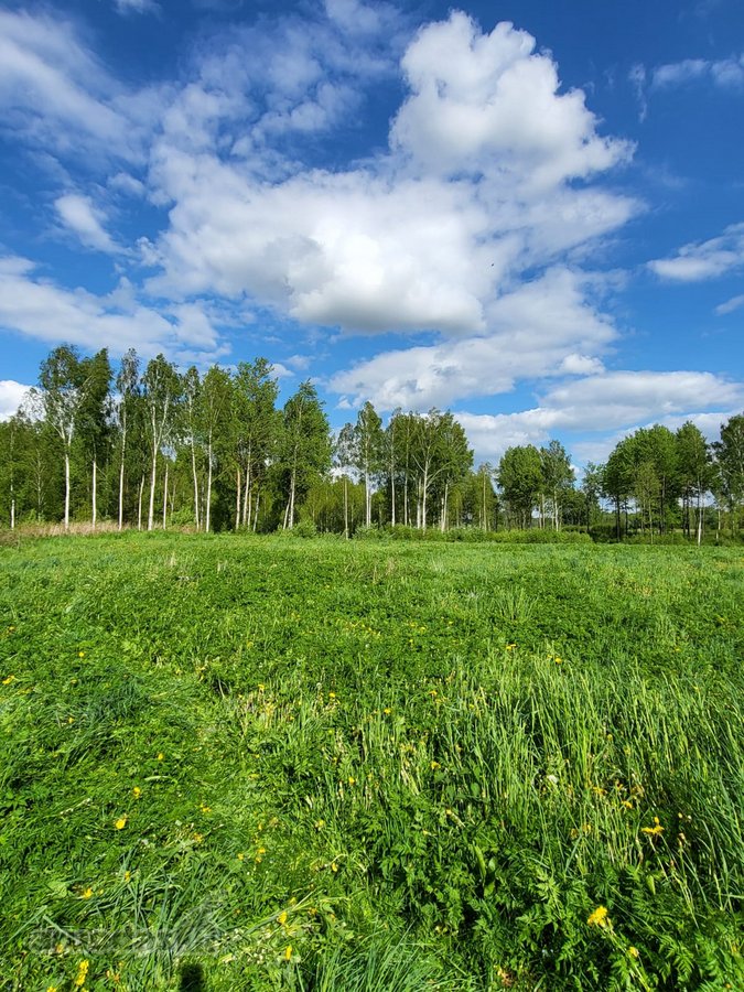 Parduodama išskirtinė sodyba netoli Vilniaus - nuotraukos Nr. 15