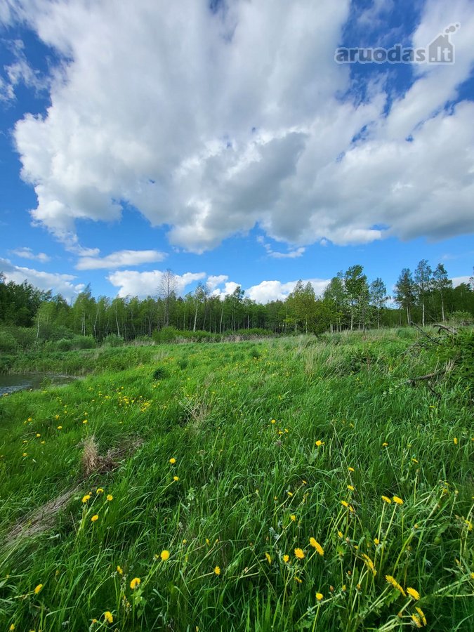 Parduodama išskirtinė sodyba netoli Vilniaus - nuotraukos Nr. 20