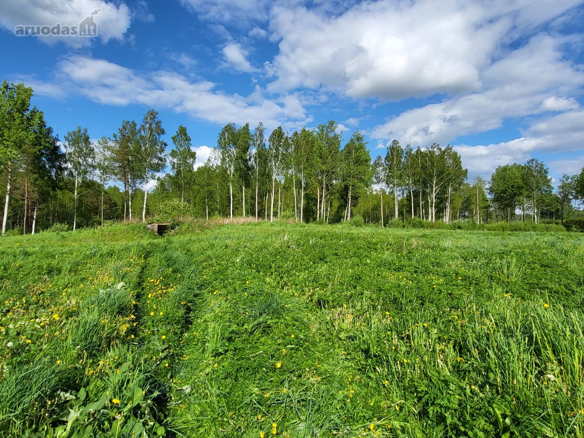 Parduodama išskirtinė sodyba netoli Vilniaus - nuotraukos Nr. 36