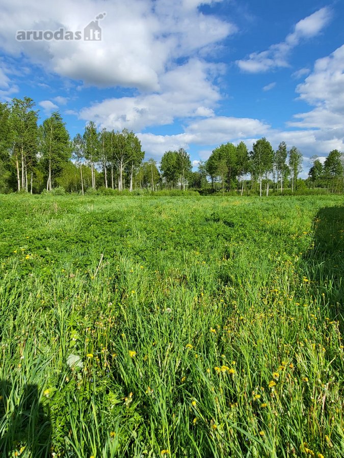 Parduodama išskirtinė sodyba netoli Vilniaus - nuotraukos Nr. 38