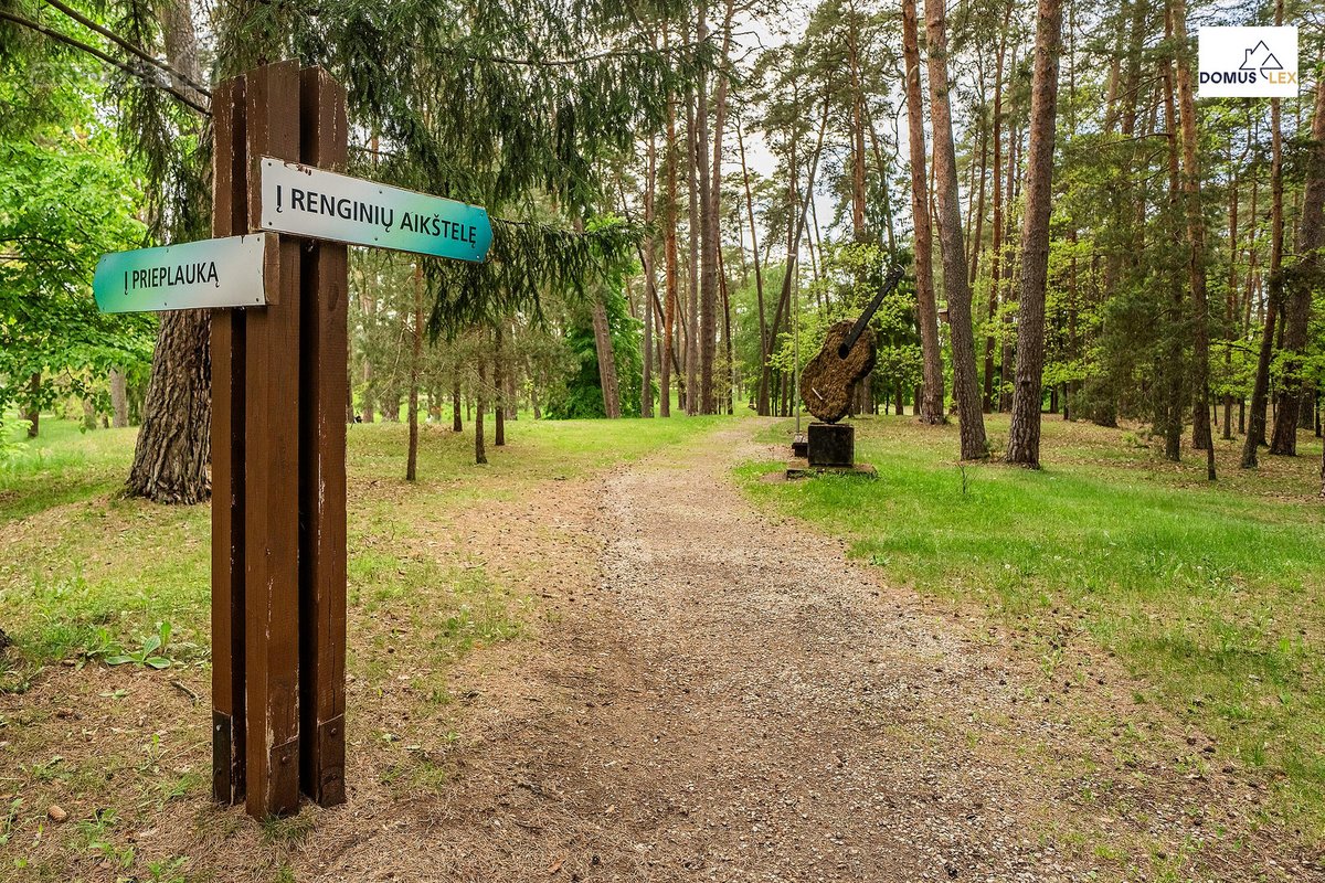 Yra vietų, kurios tiesiog turi aurą. - nuotraukos Nr. 44