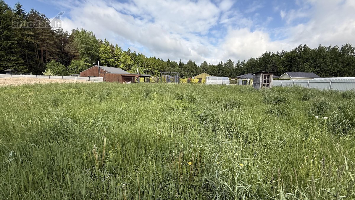 Domina Keitimas Į 2 Kambarių Butą Vilniaus - nuotraukos Nr. 6