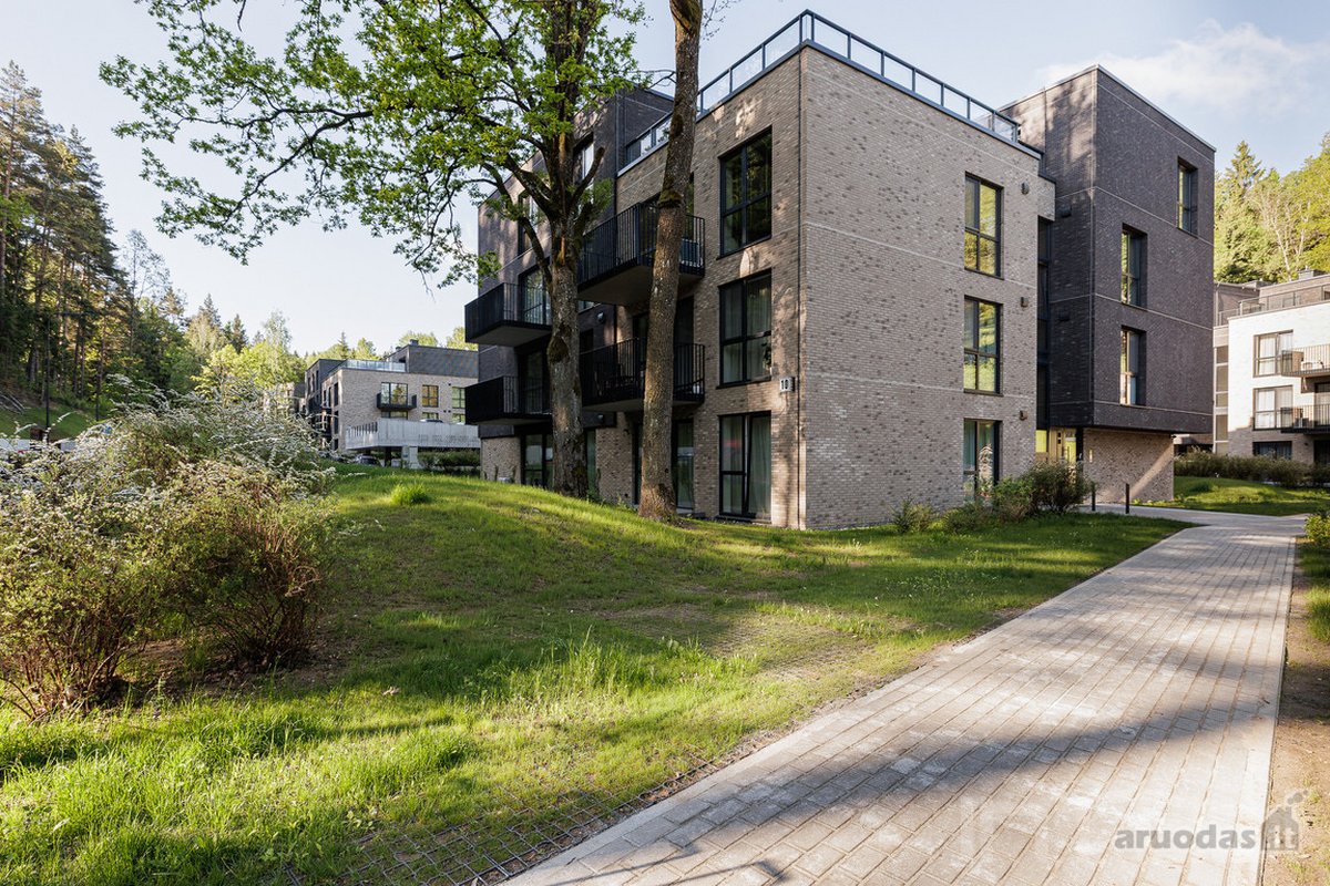 Miško apsupty, Burbiškių miško slėnyje, - nuotraukos Nr. 21