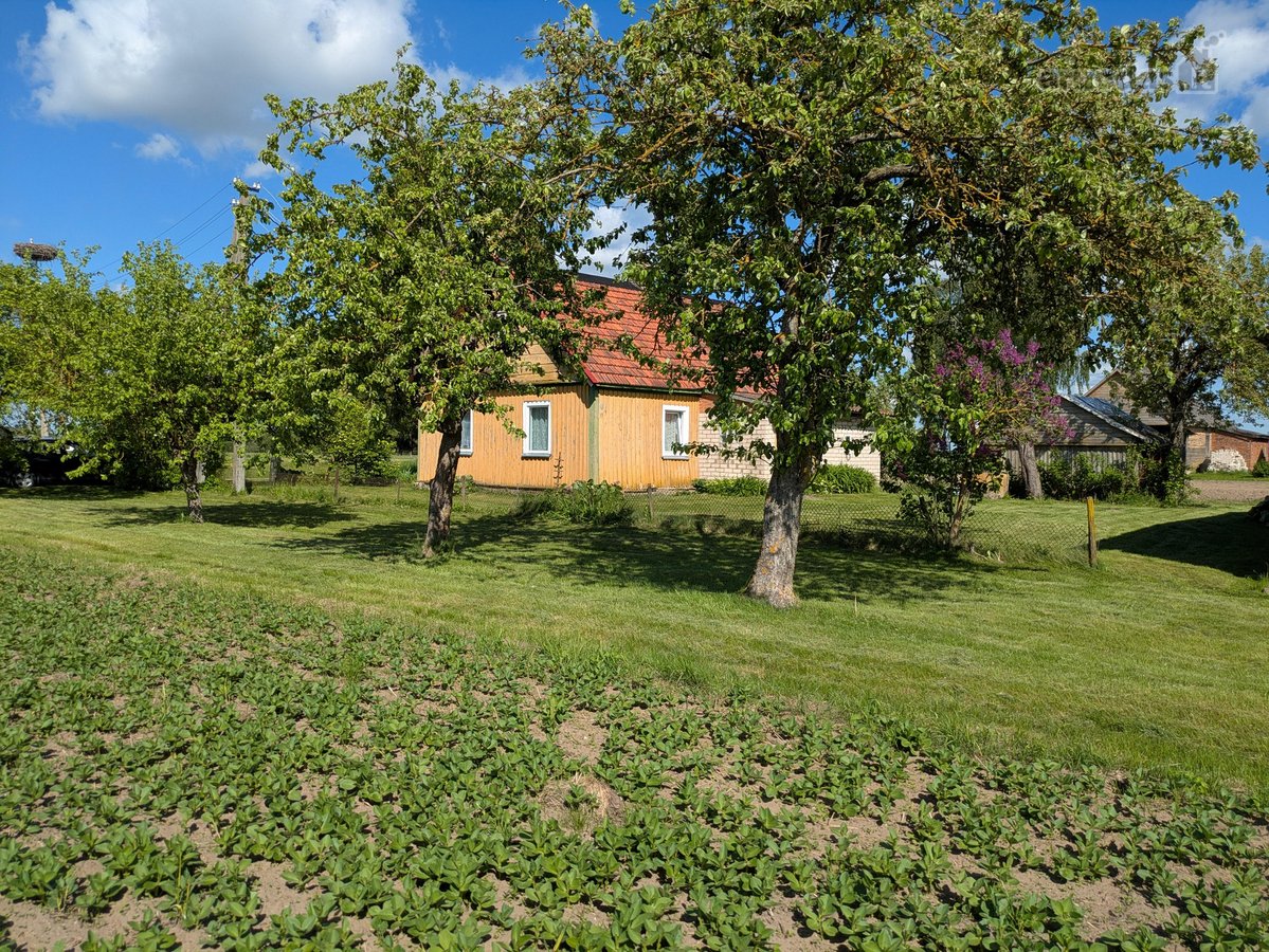 Parduodama sodyba apsupta gamtos ir visiškos - nuotraukos Nr. 4