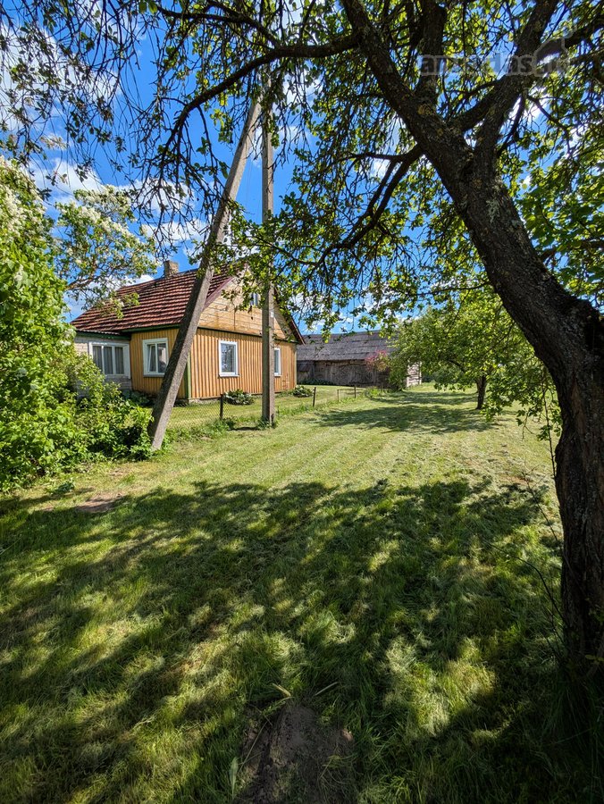 Parduodama sodyba apsupta gamtos ir visiškos - nuotraukos Nr. 3
