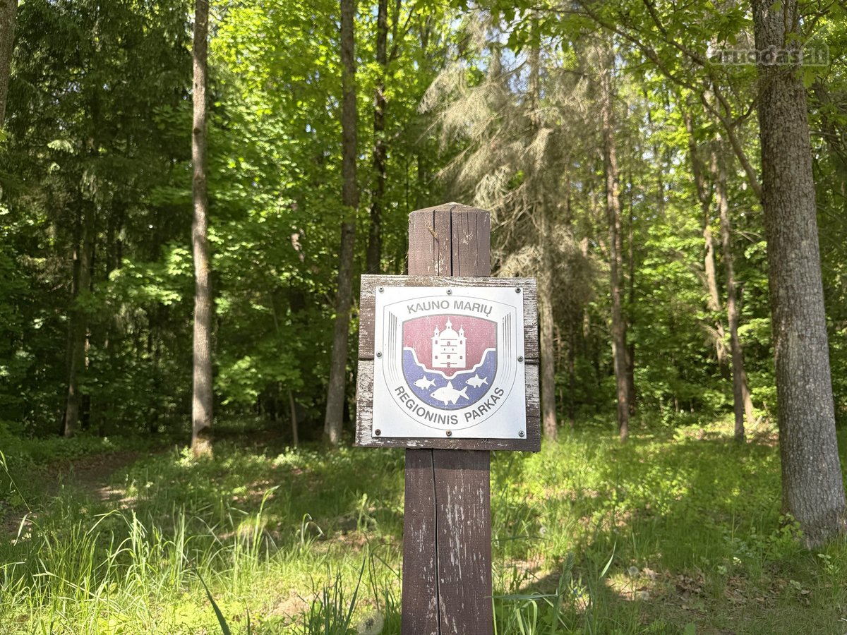 Sodo Namas Šalia Kauno Marių! - nuotraukos Nr. 14
