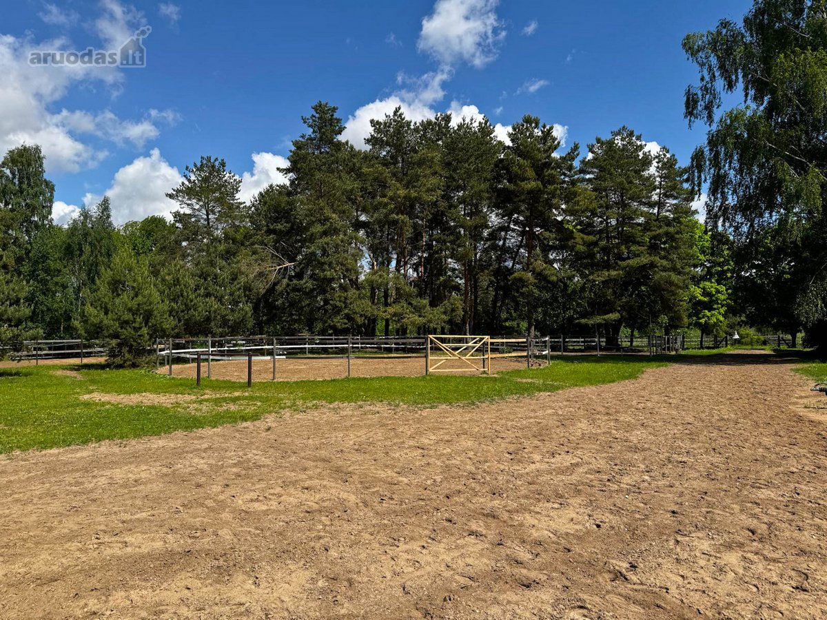 Parduodamas Žirgynas Jonavos Rajone - nuotraukos Nr. 18