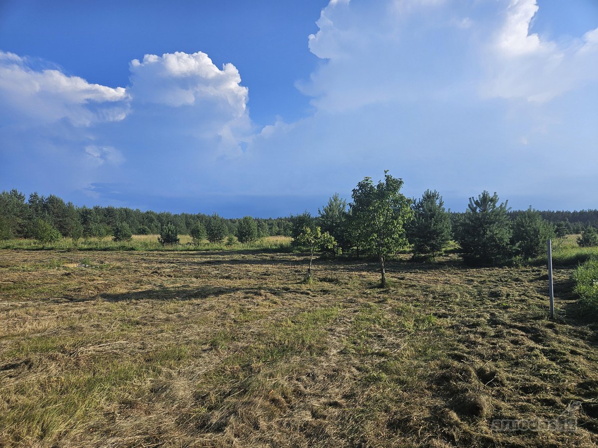 Parduodamas Išskirtinis 19,81 A Sklypas Namo - nuotraukos Nr. 4