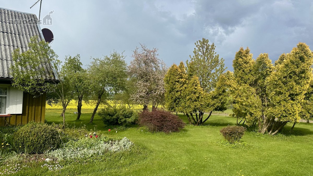 Parduodame sodybą labai gražioje ir ramioje - nuotraukos Nr. 11