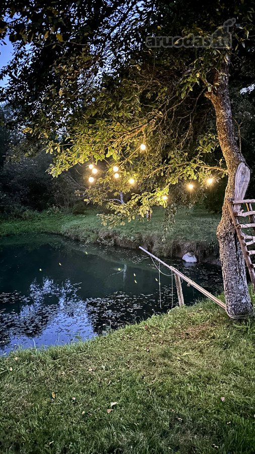 Parduodame sodybą labai gražioje ir ramioje - nuotraukos Nr. 15