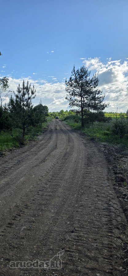 Parduodami žemės ūkio paskirties sklypai - nuotraukos Nr. 14