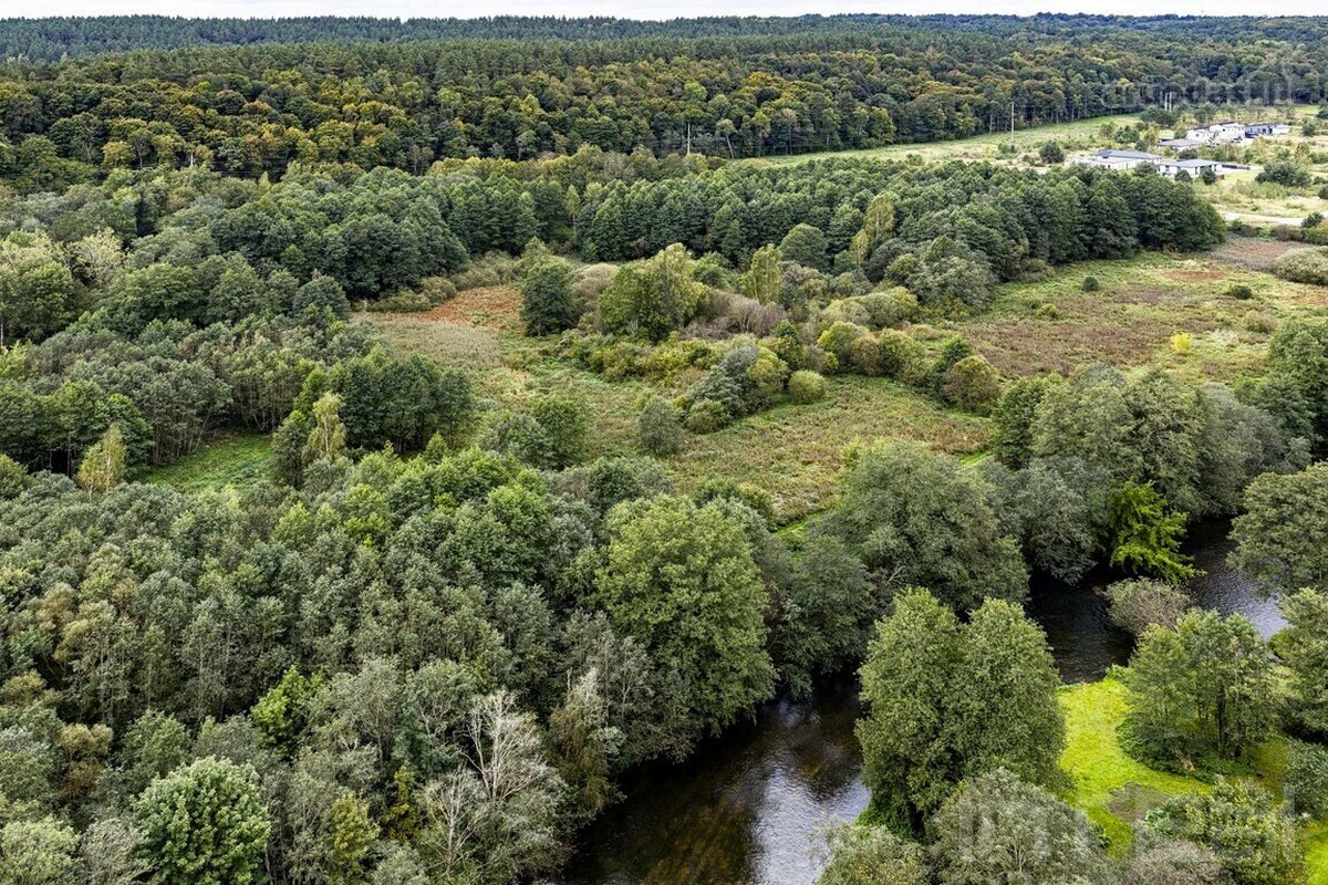 Vilniaus mieste, Sniegenų g., šalia Vokės