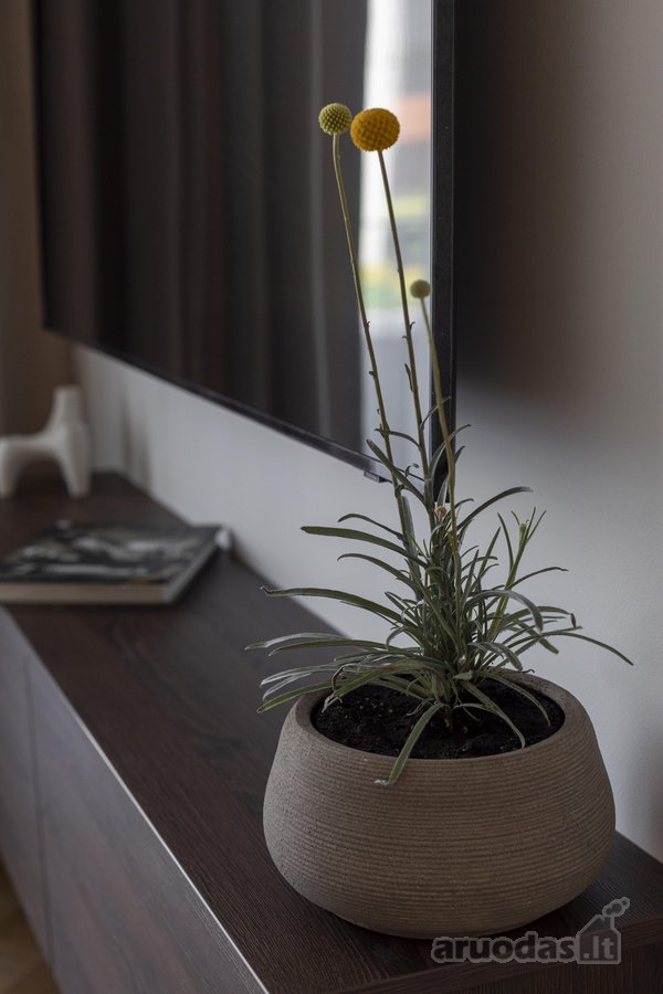 Parduodamas Išskirtinio Interjero 2 Kambarių - nuotraukos Nr. 5