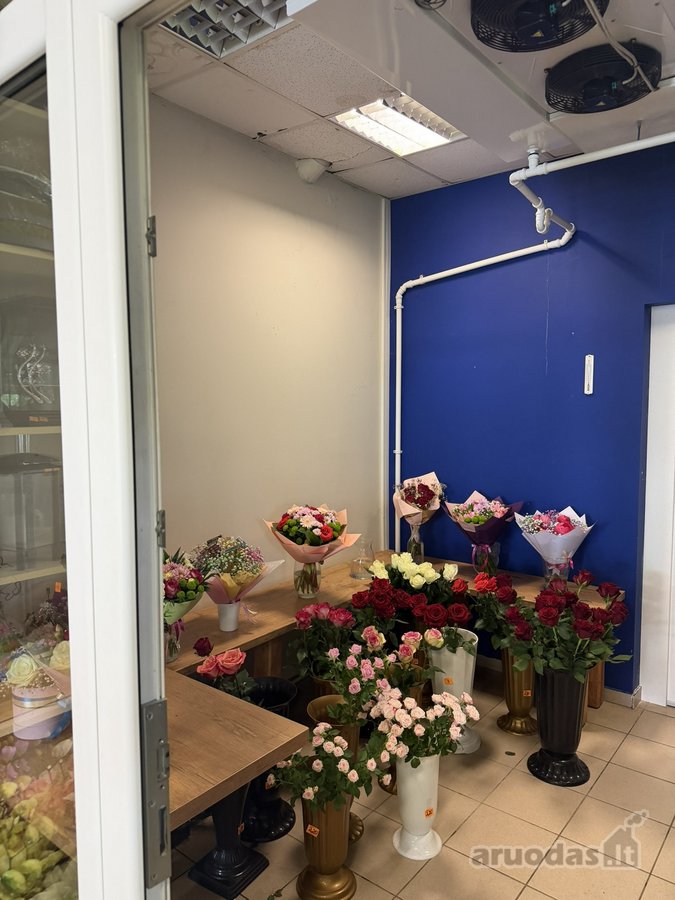  Išnuomojamos Komercinės Patalpos Plungėje – - nuotraukos Nr. 9