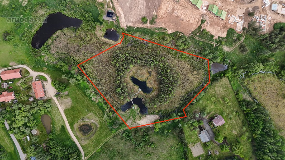 Parduodamas 153,91 a. namų valdos sklypas. Už - nuotraukos Nr. 3