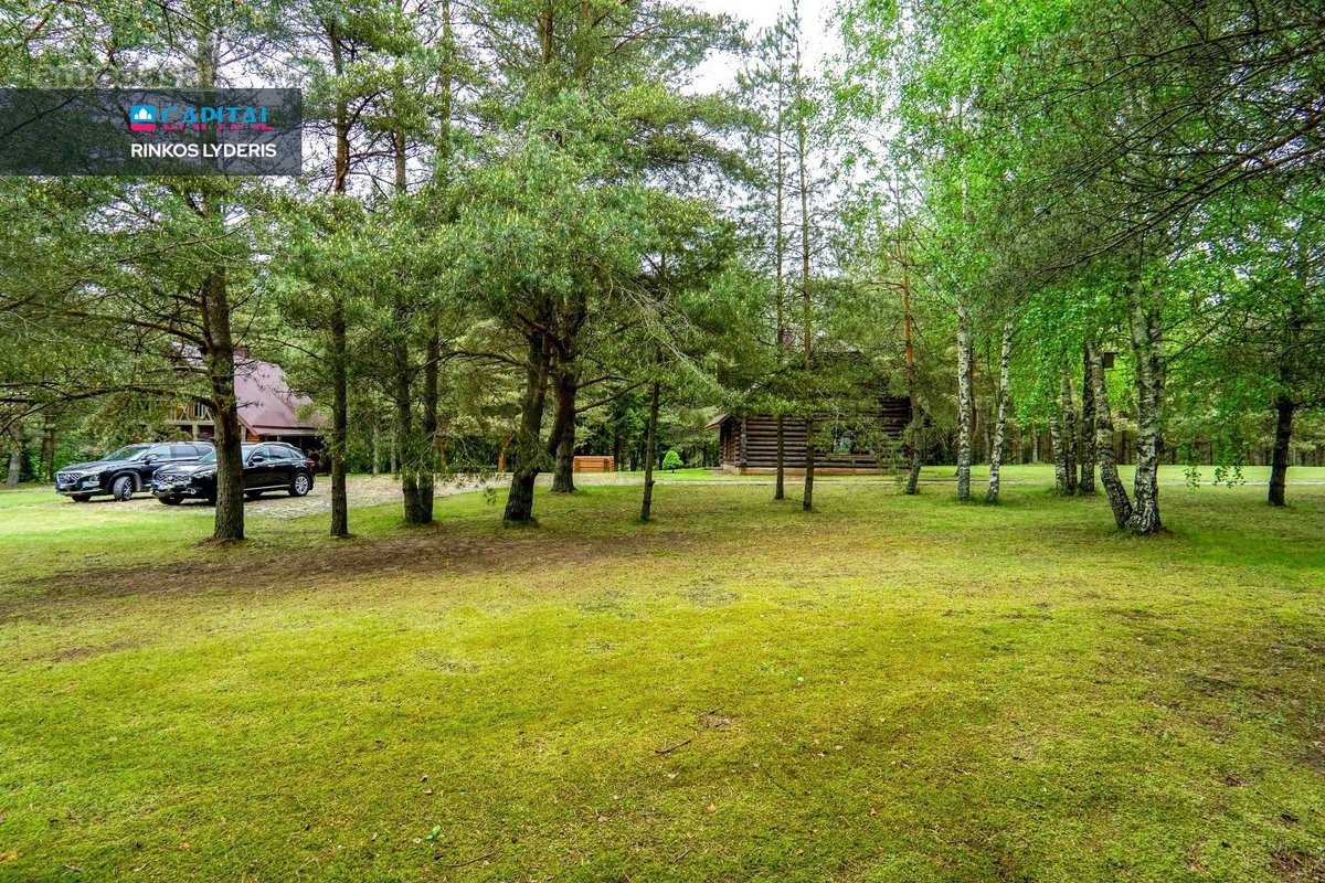 Ši sodyba – tikra gamtos oazė. Įsikūrusi apie - nuotraukos Nr. 10