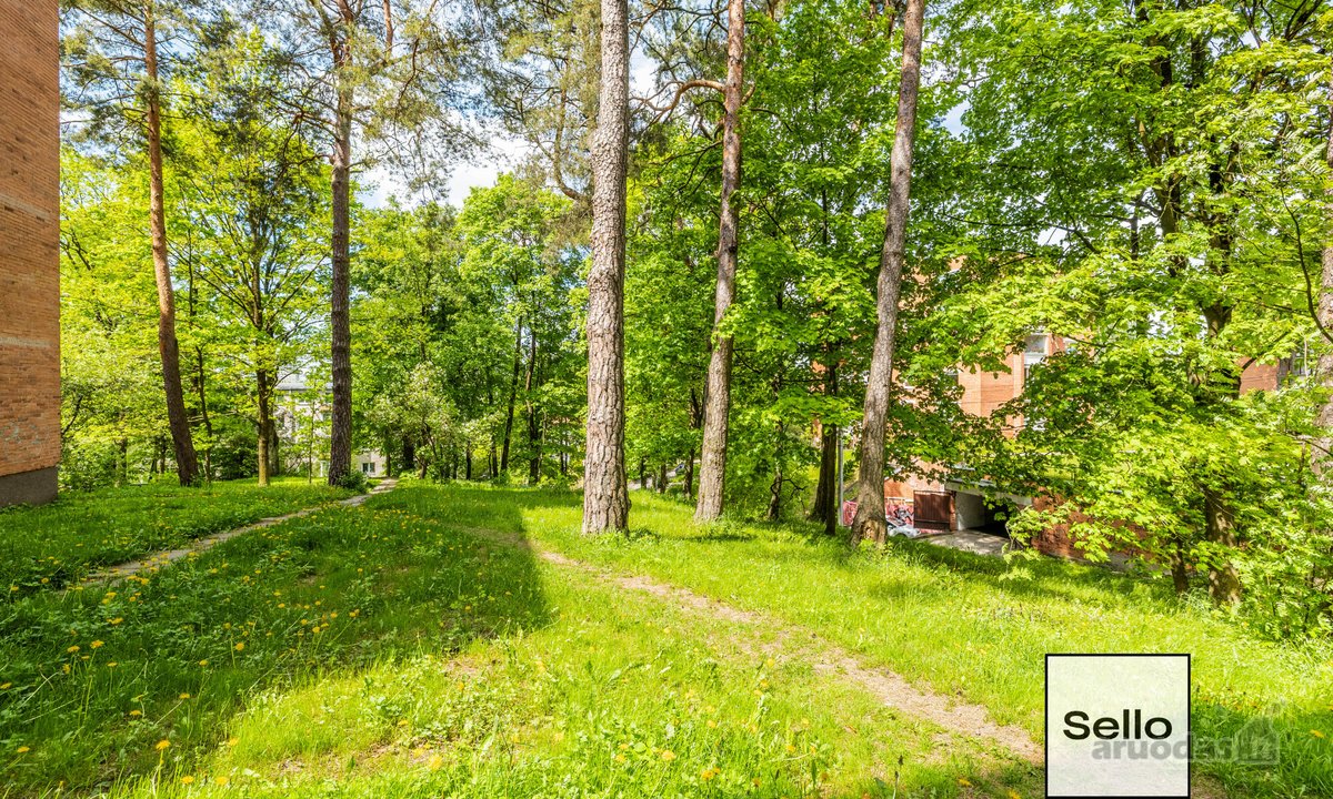  – Nt ekspertai be procentų - nuotraukos Nr. 41