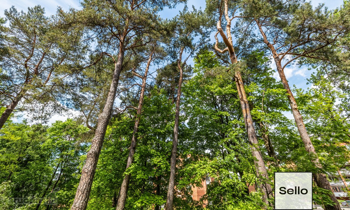  – Nt ekspertai be procentų - nuotraukos Nr. 42