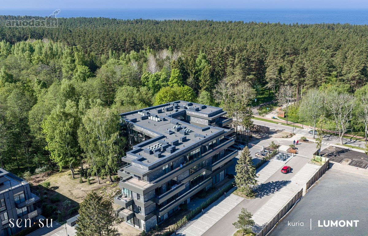 Sensu projektas jau baigtas – pirmieji