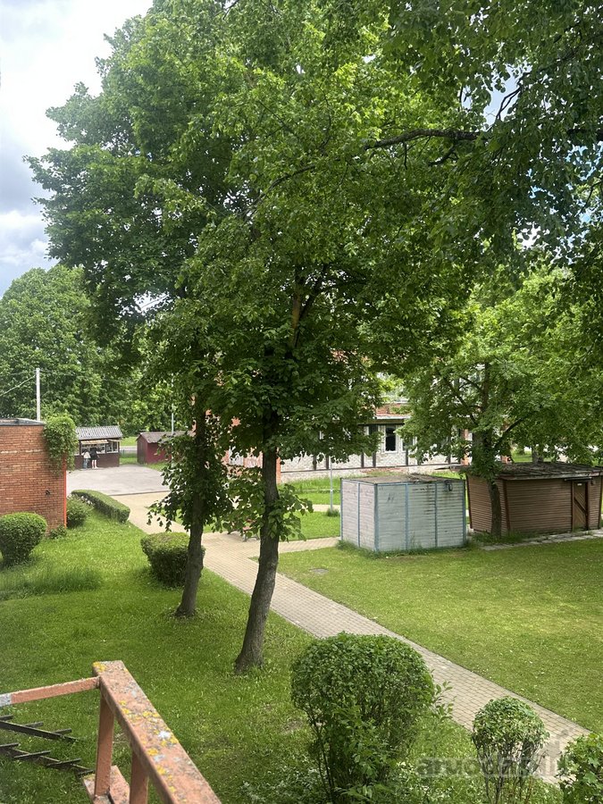 Sveiki , Didžiasalio kaime Ignalinos rajone